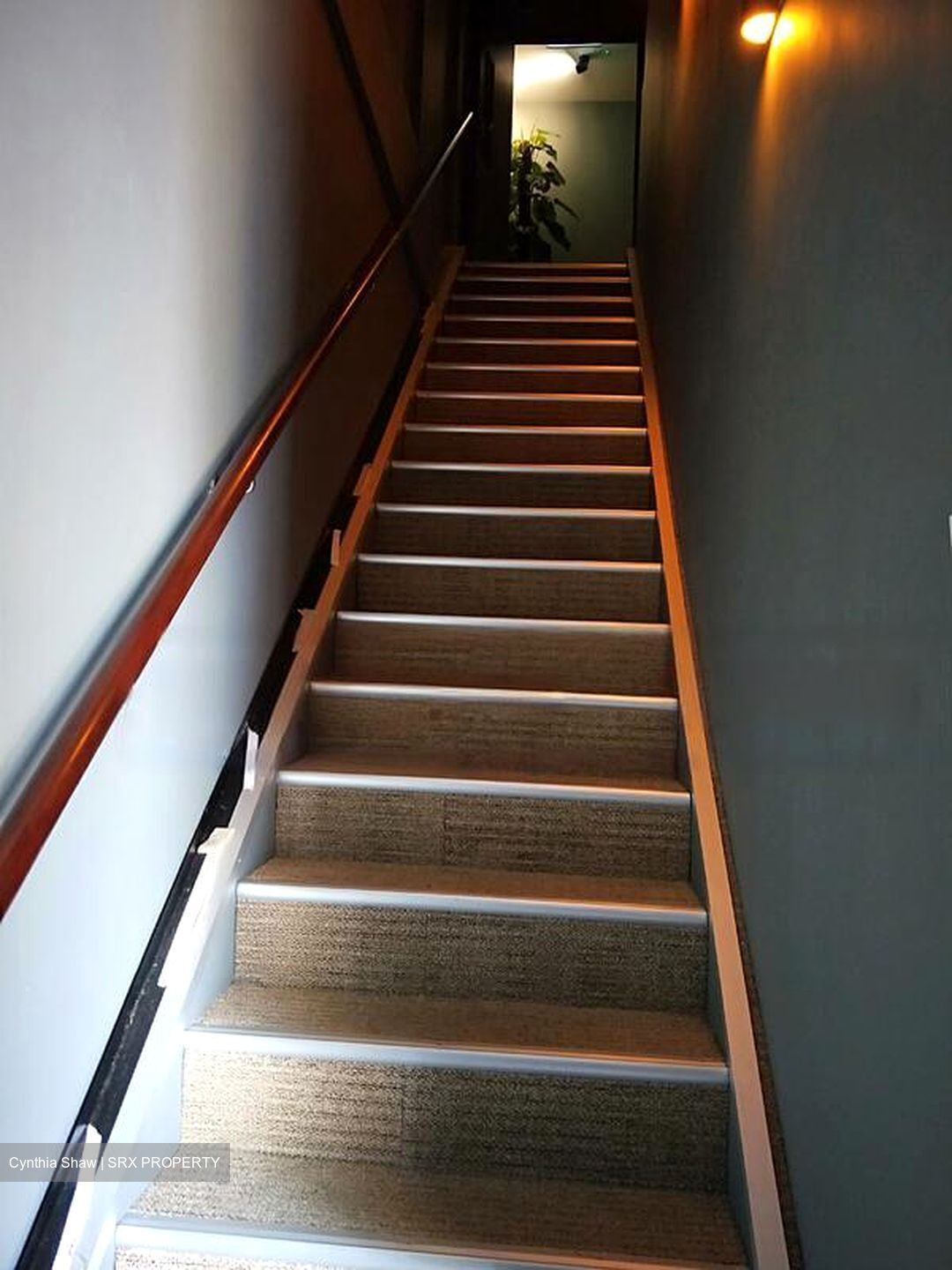 New Upper Changi Road (D16), Shop House #496567071